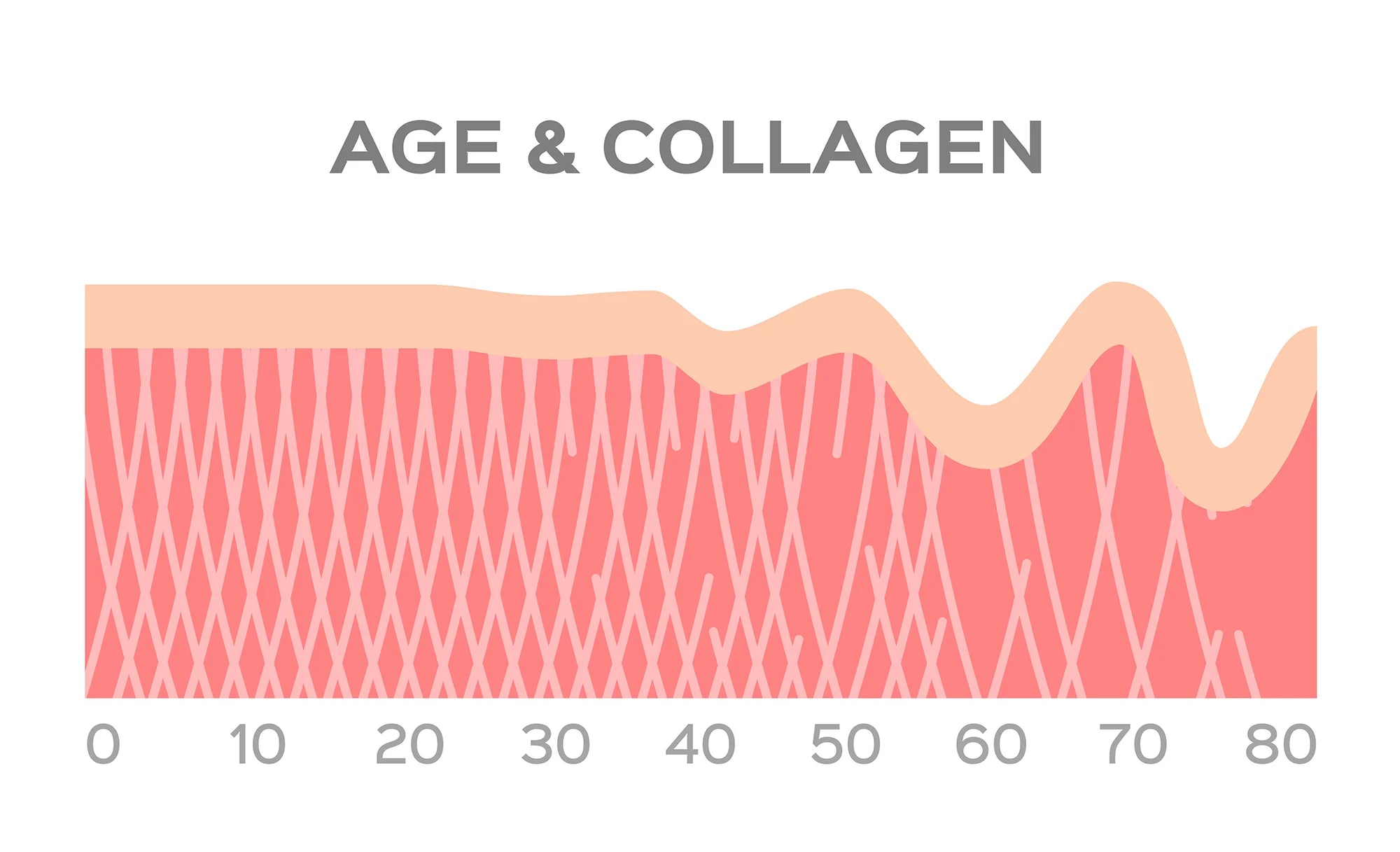 Deep Guide to Collagen - ways to preserve and boost collagen in your skin