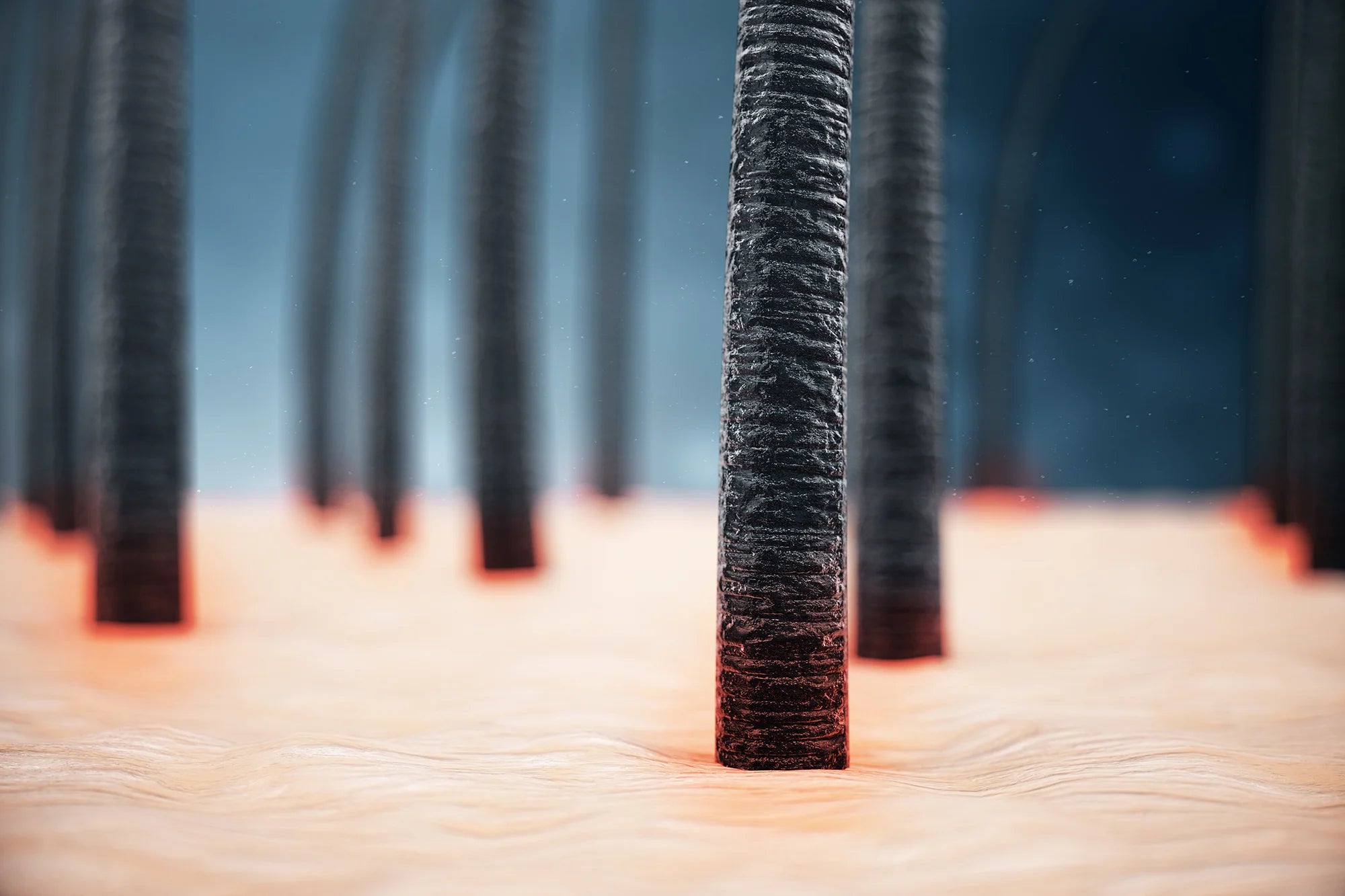 Shedding Light on Hair Growth: The Science Behind Laser and LED Therapy