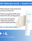 The Exfoliator BHA + Clay Facial Scrub