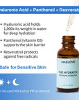 Hydrator Hyaluronic Acid B5 Serum